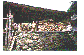 Stilleben